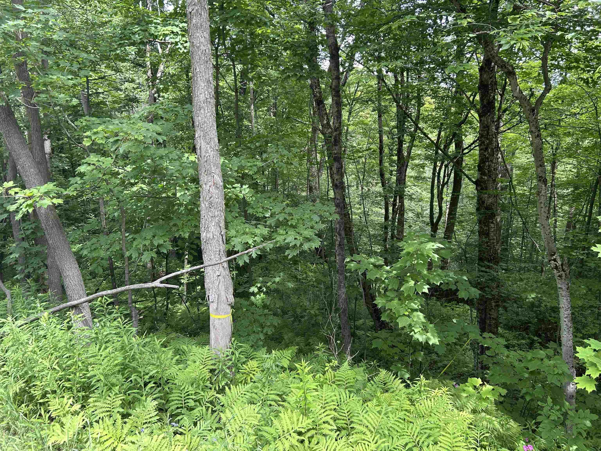 0 Route 30 Winhall VT 05340