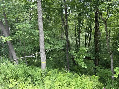 0 Route 30 Winhall VT 05340