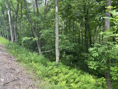 0 Route 30 Winhall VT 05340
