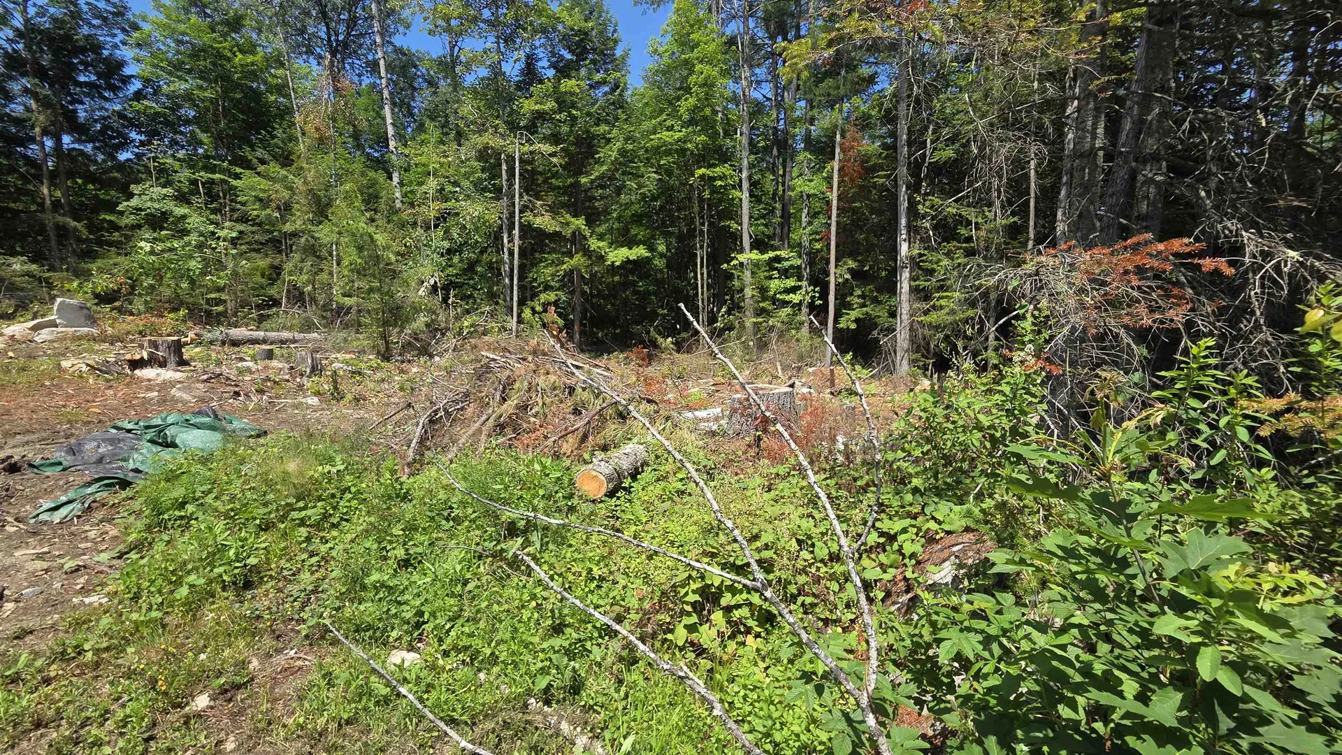 55 Grafton Turnpike Road Canaan NH 03741