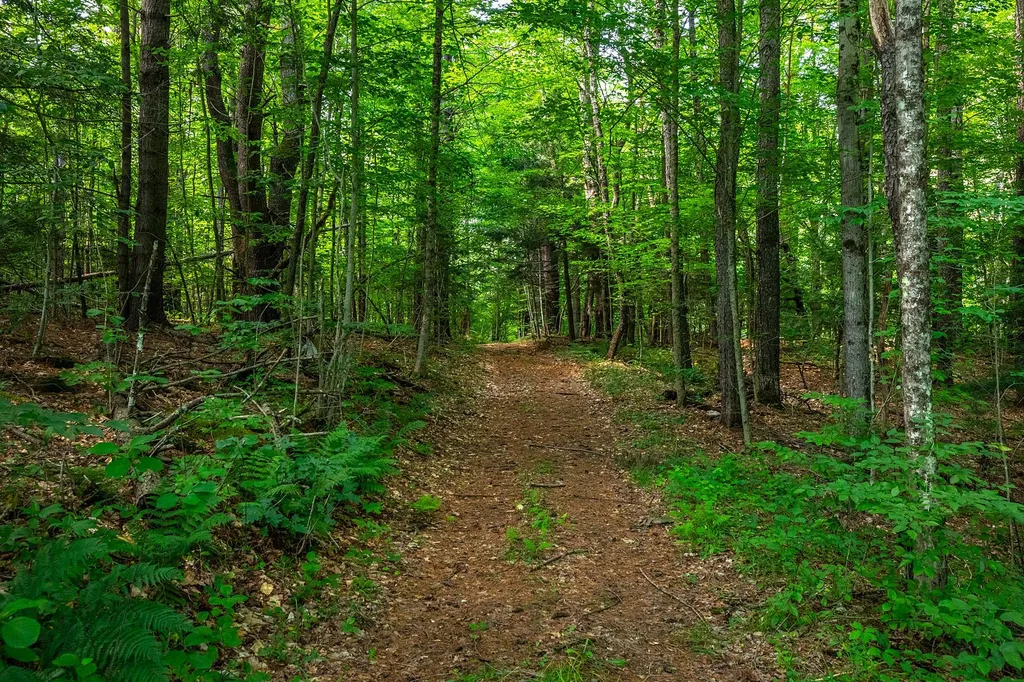 40 E Putney Brook Road Putney VT 05346