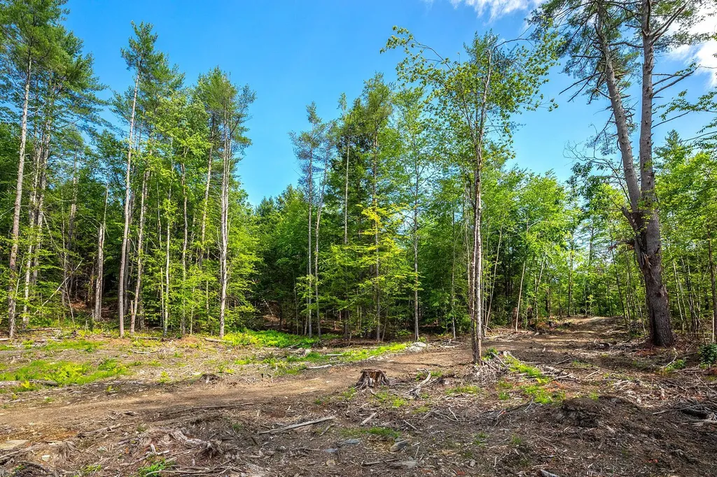 40 E Putney Brook Road Putney VT 05346