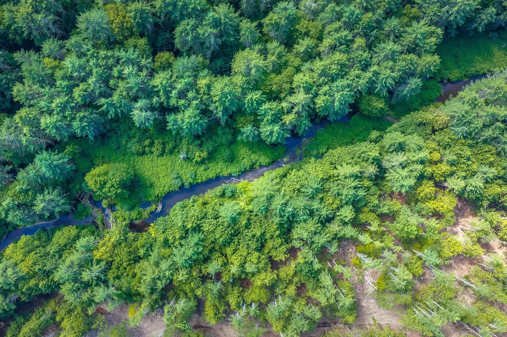 40 E Putney Brook Road Putney VT 05346