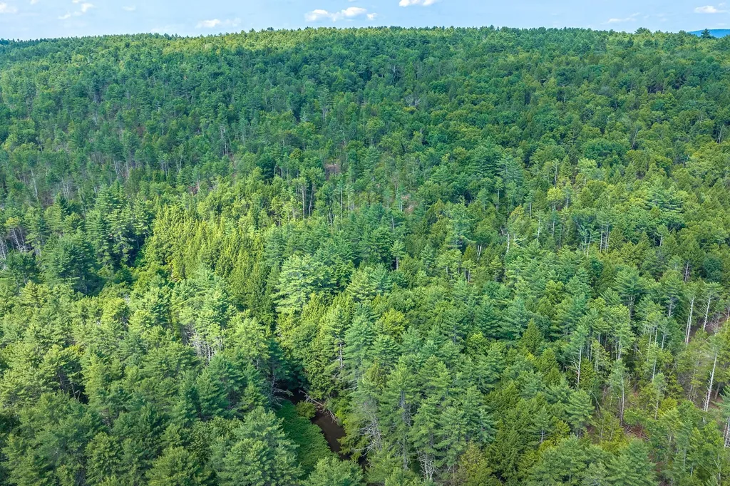40 E Putney Brook Road Putney VT 05346
