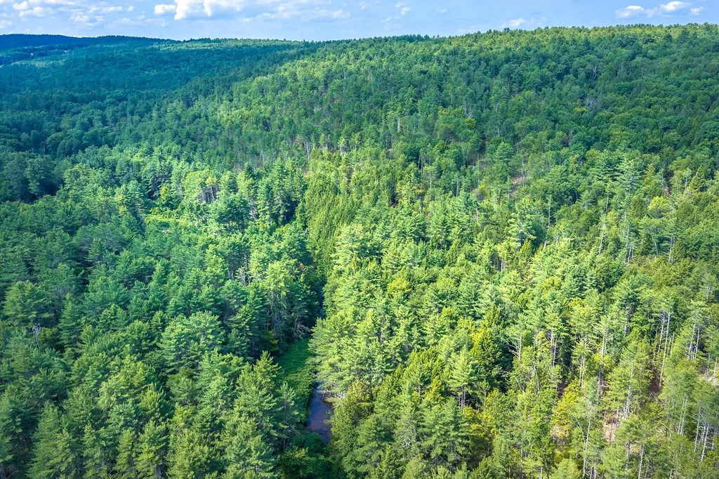 40 E Putney Brook Road Putney VT 05346