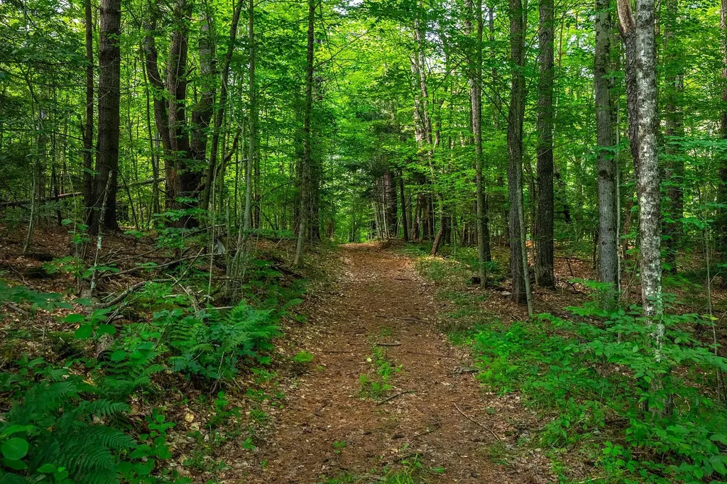 40 E Putney Brook Road Putney VT 05346