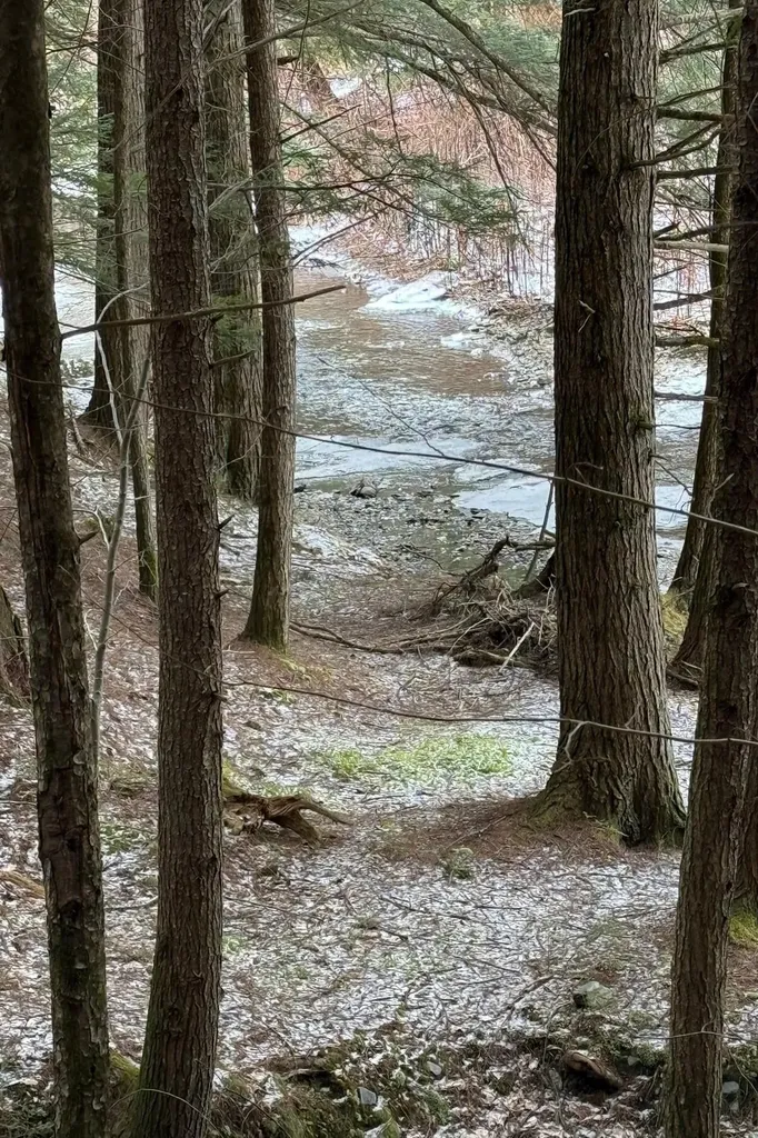 40 E Putney Brook Road Putney VT 05346