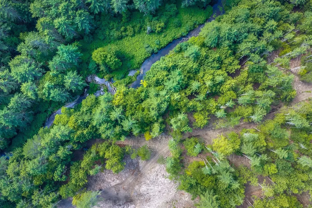 40 E Putney Brook Road Putney VT 05346