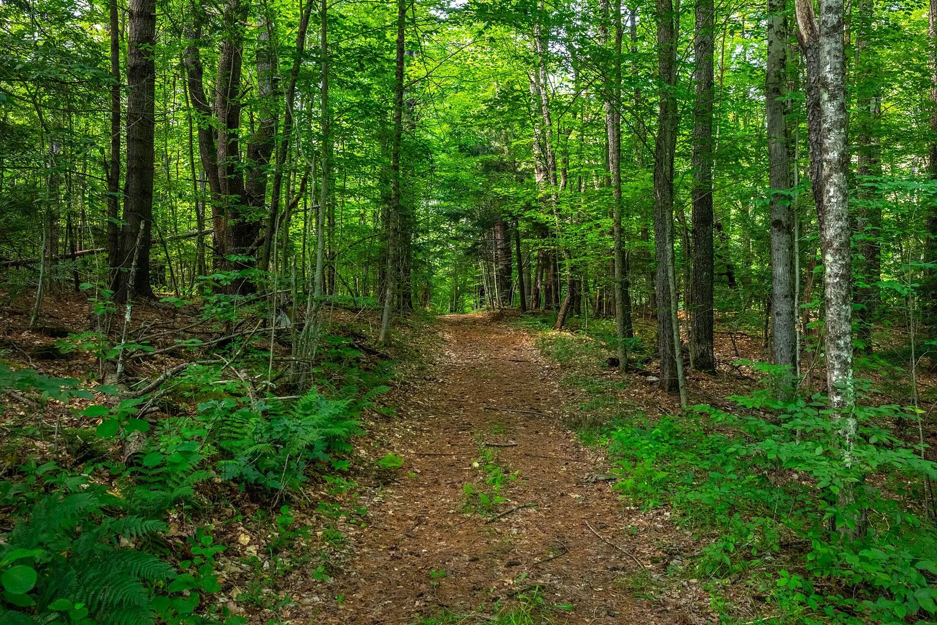 40 E Putney Brook Road Putney VT 05346