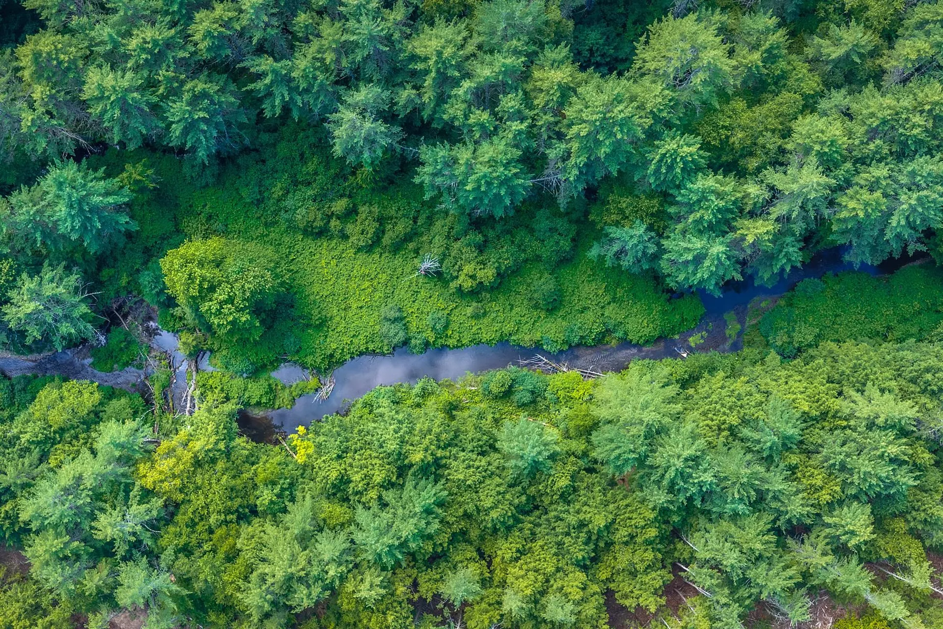 40 E Putney Brook Road Putney VT 05346
