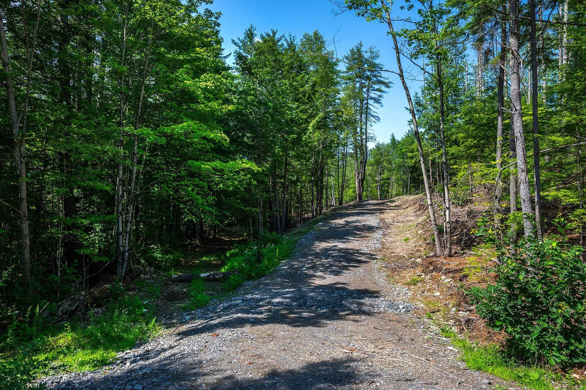 40 E Putney Brook Road Putney VT 05346