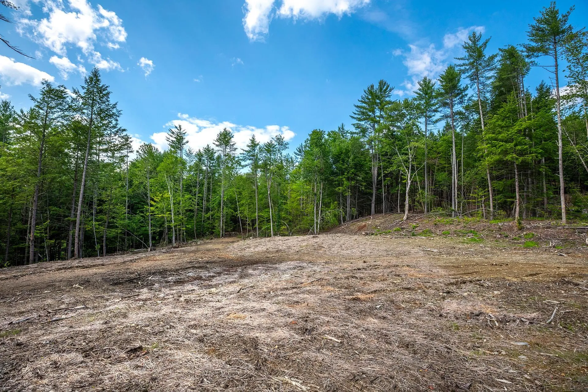 40 E Putney Brook Road Putney VT 05346