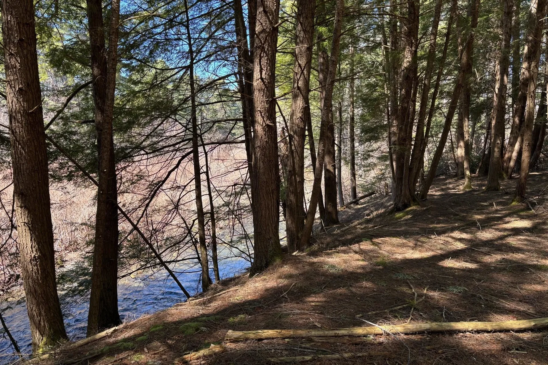 40 E Putney Brook Road Putney VT 05346