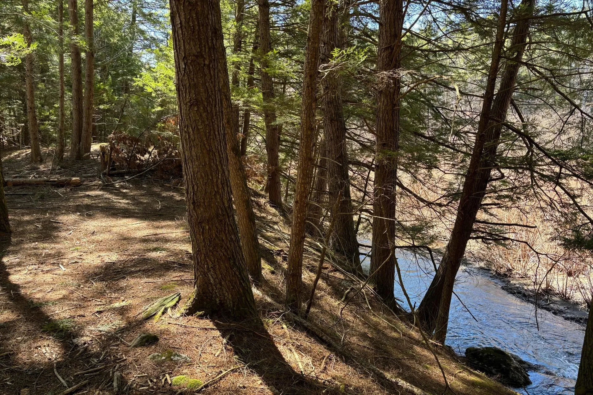 40 E Putney Brook Road Putney VT 05346