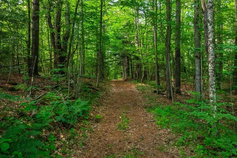 40 E Putney Brook Road Putney VT 05346