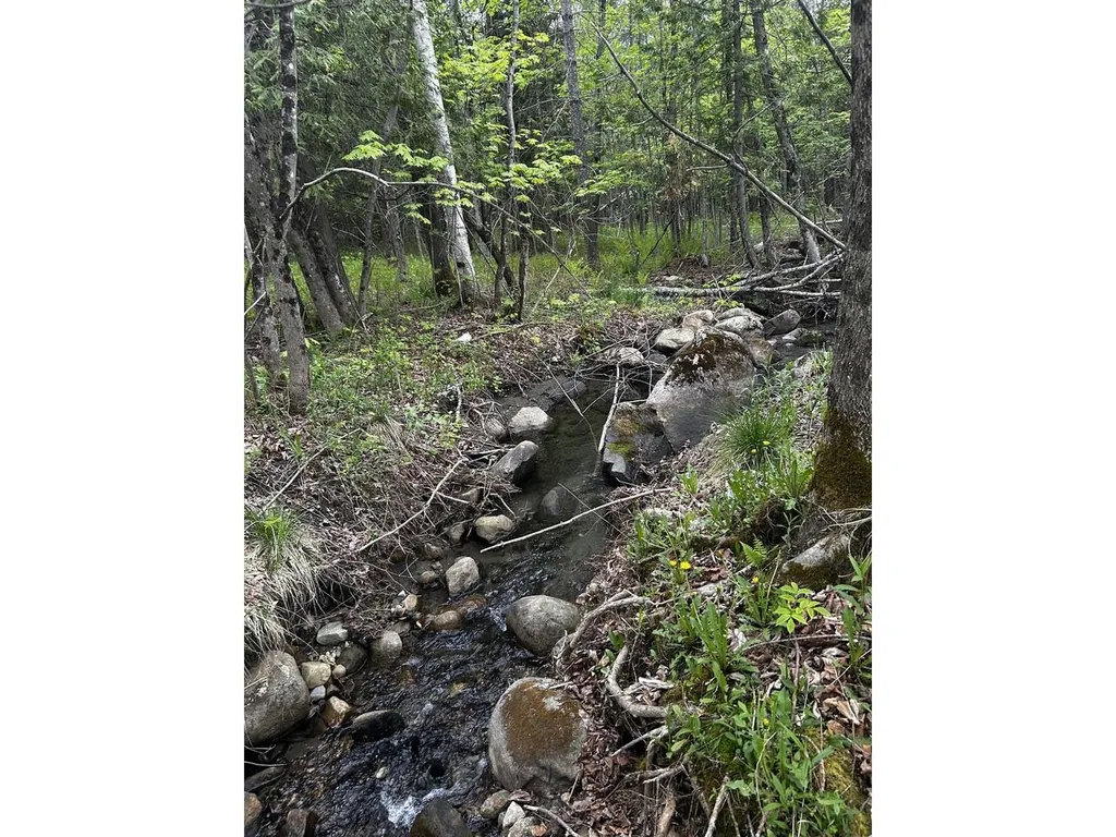 3814 East Hill Road Plainfield VT 05667-9617