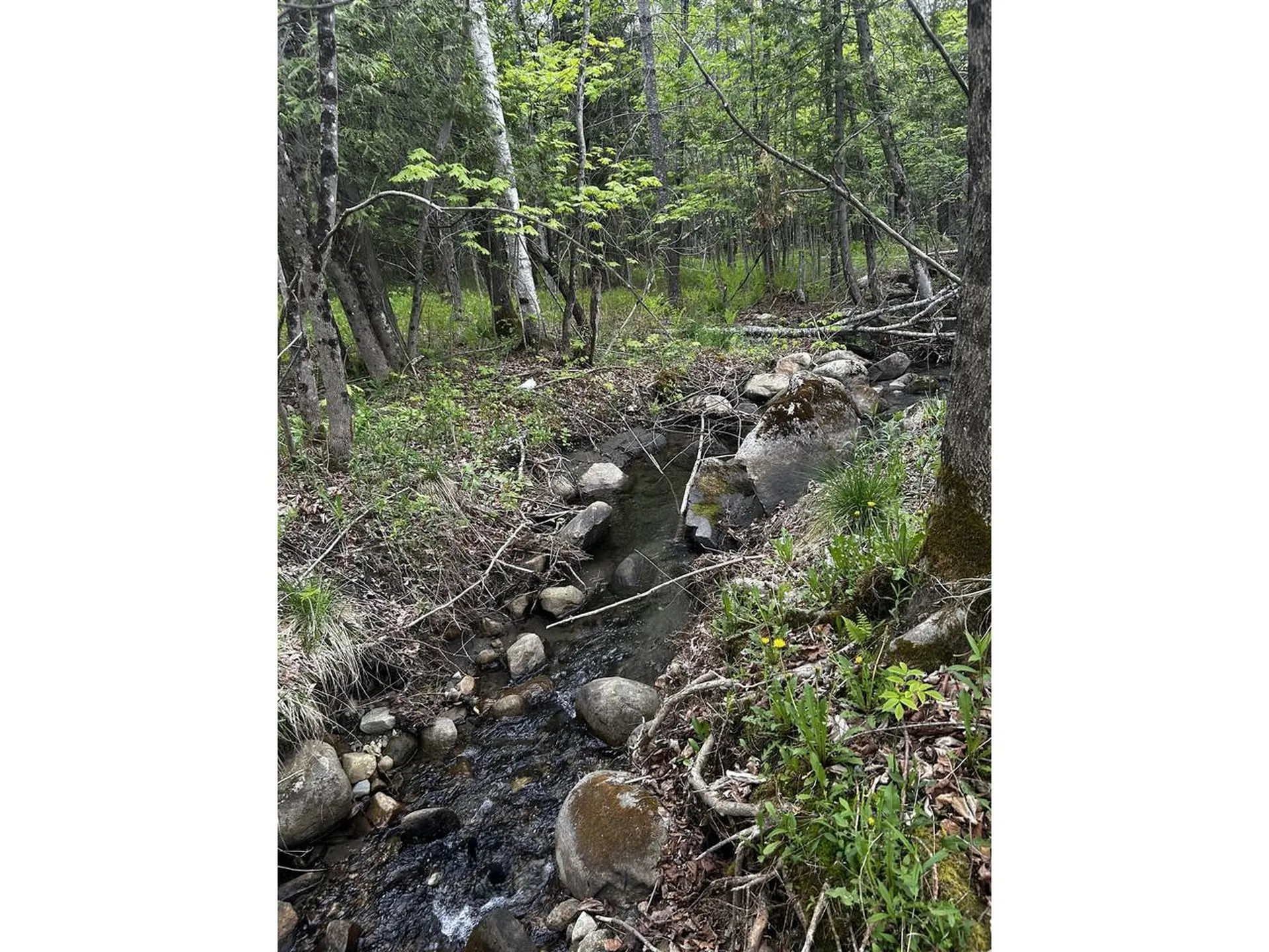 3814 East Hill Road Plainfield VT 05667-9617