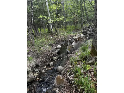 3814 East Hill Road Plainfield VT 05667-9617