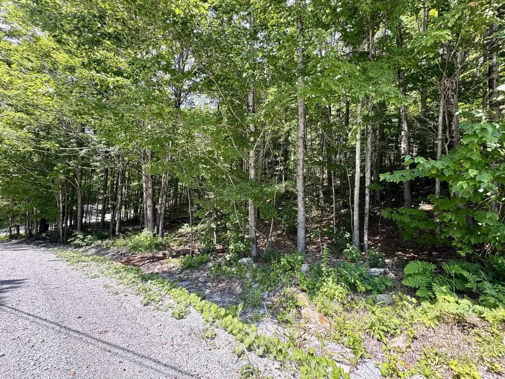 07-76 Winding Way Killington VT 05751