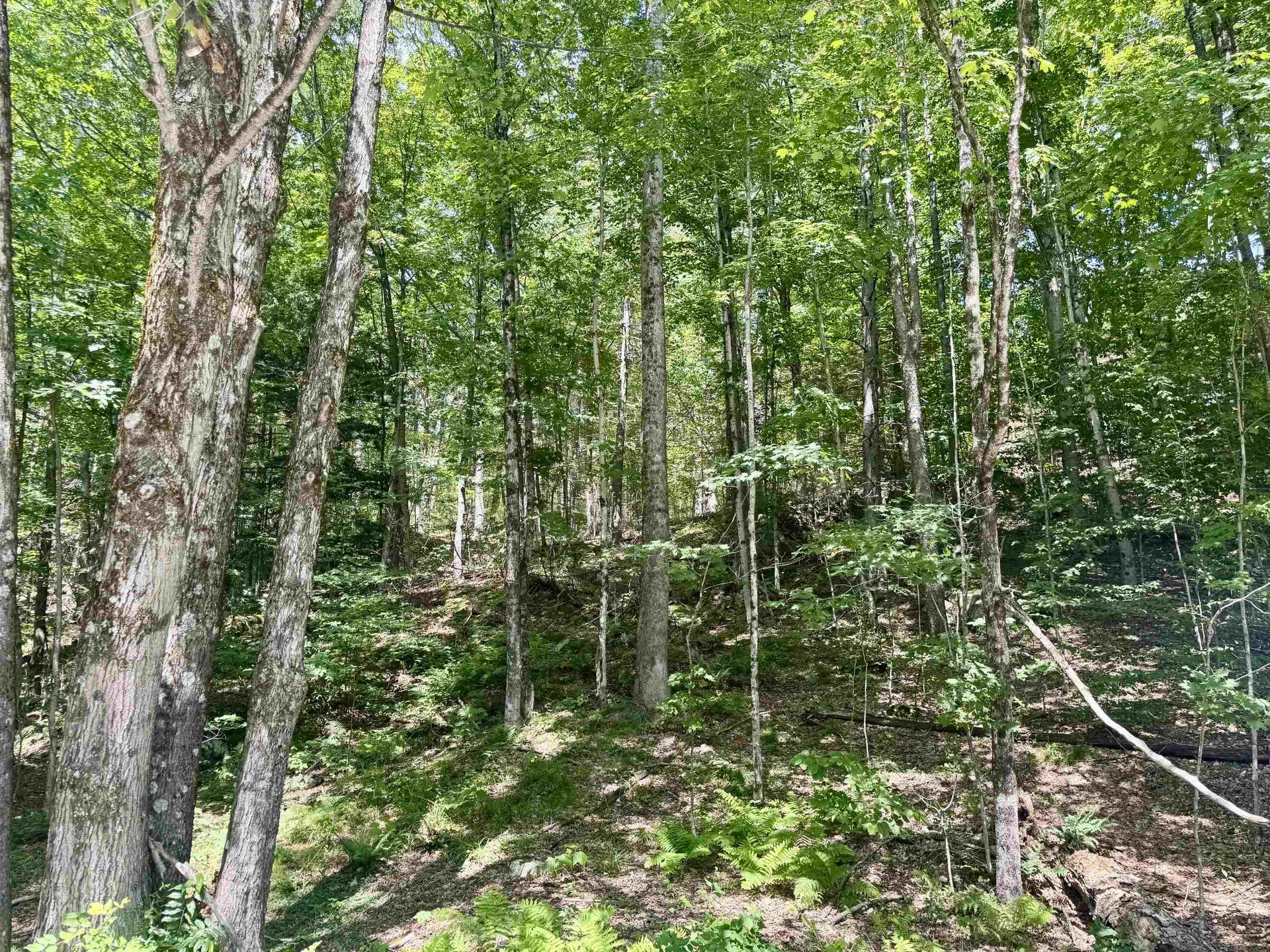 07-76 Winding Way Killington VT 05751