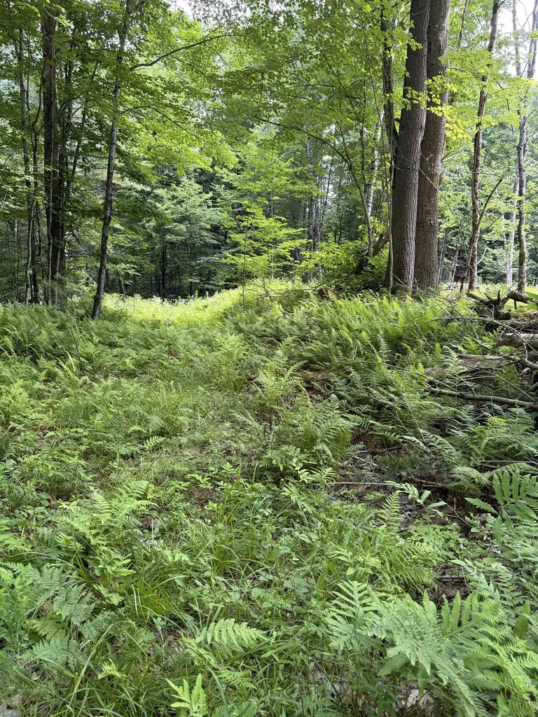 100 Ledge Road Lisbon NH 03585