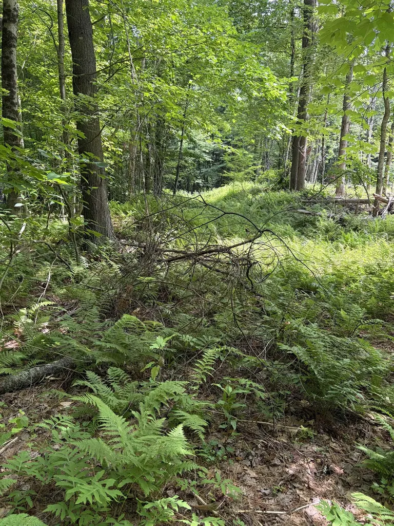 100 Ledge Road Lisbon NH 03585