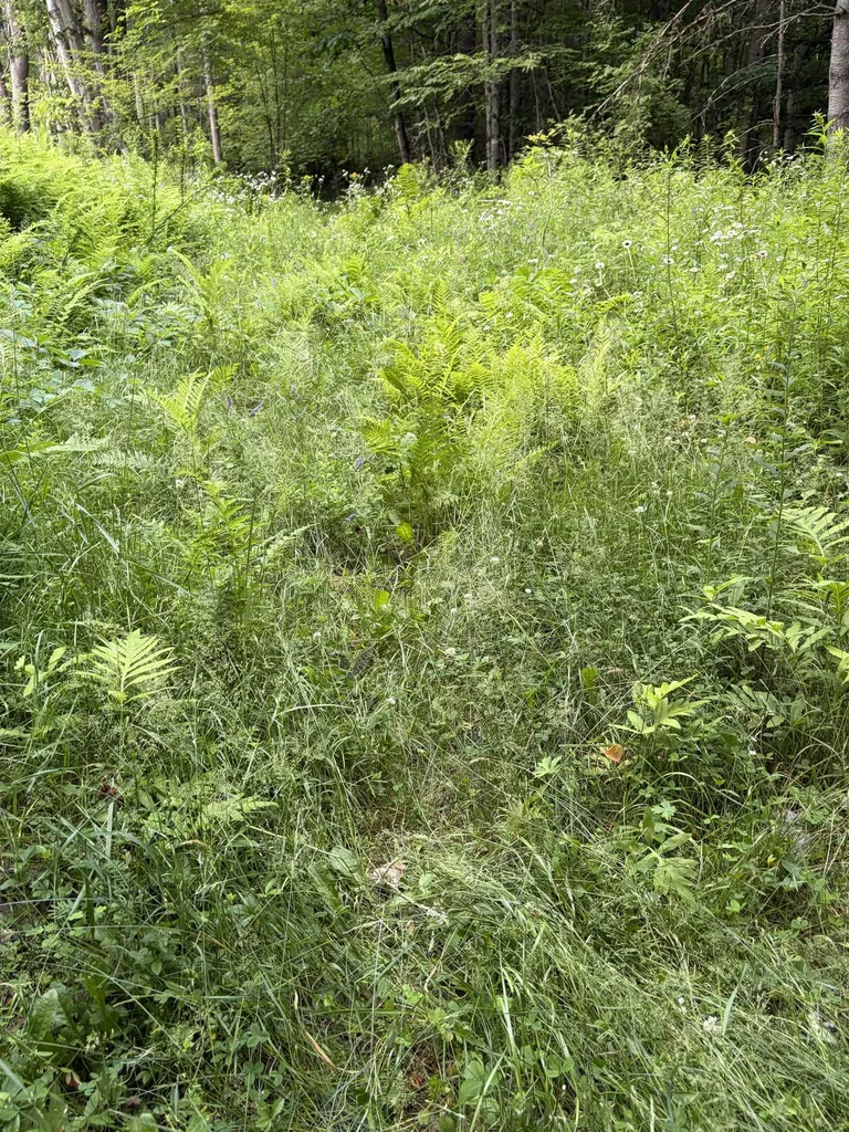 100 Ledge Road Lisbon NH 03585