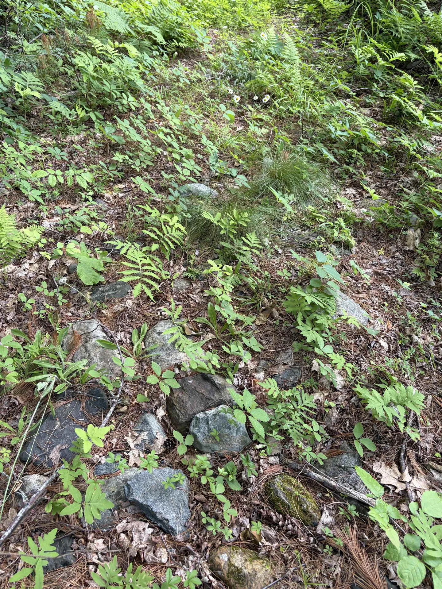 100 Ledge Road Lisbon NH 03585