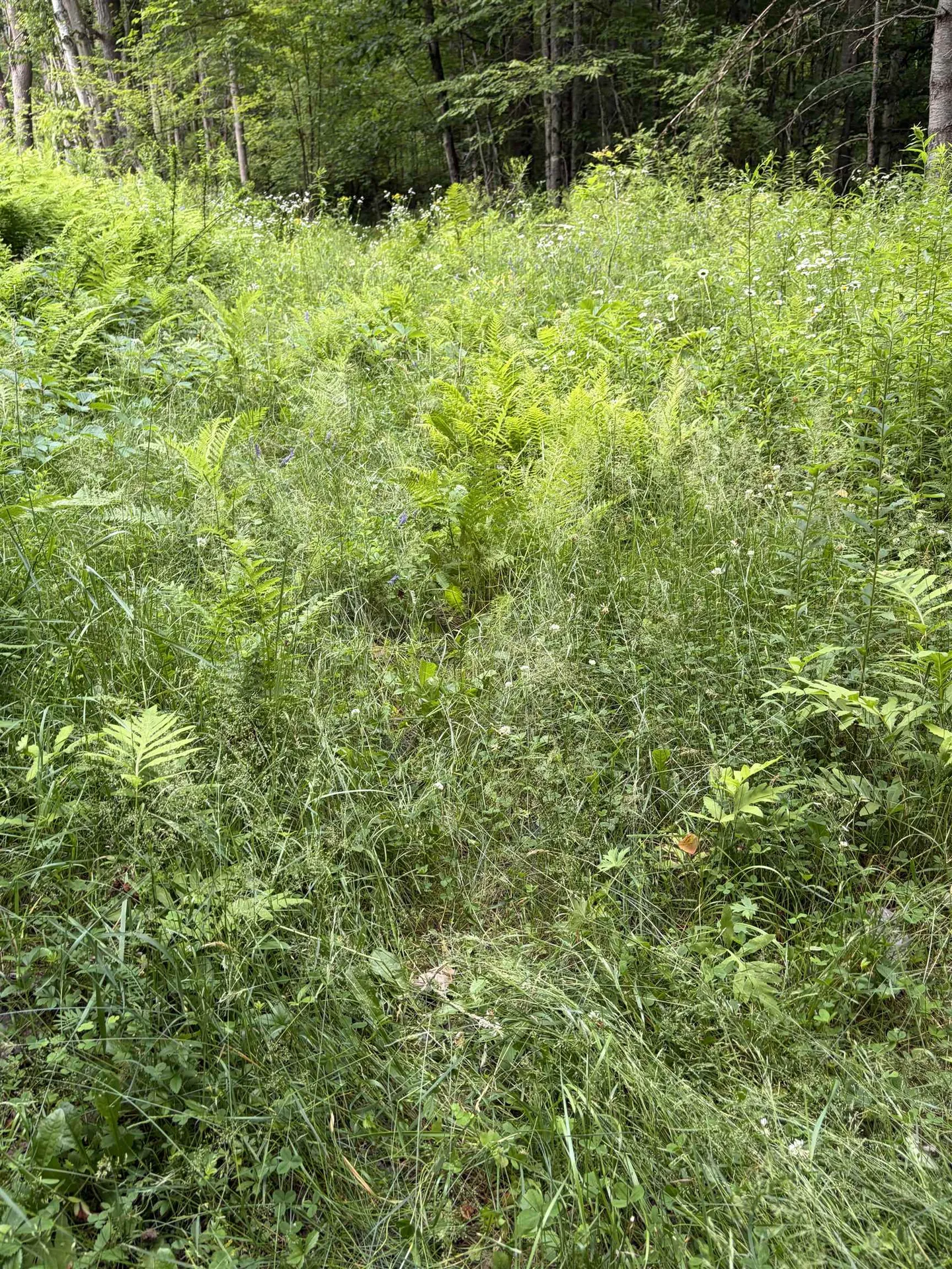 100 Ledge Road Lisbon NH 03585
