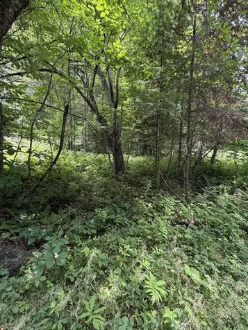 100 Ledge Road Lisbon NH 03585