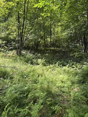 100 Ledge Road Lisbon NH 03585