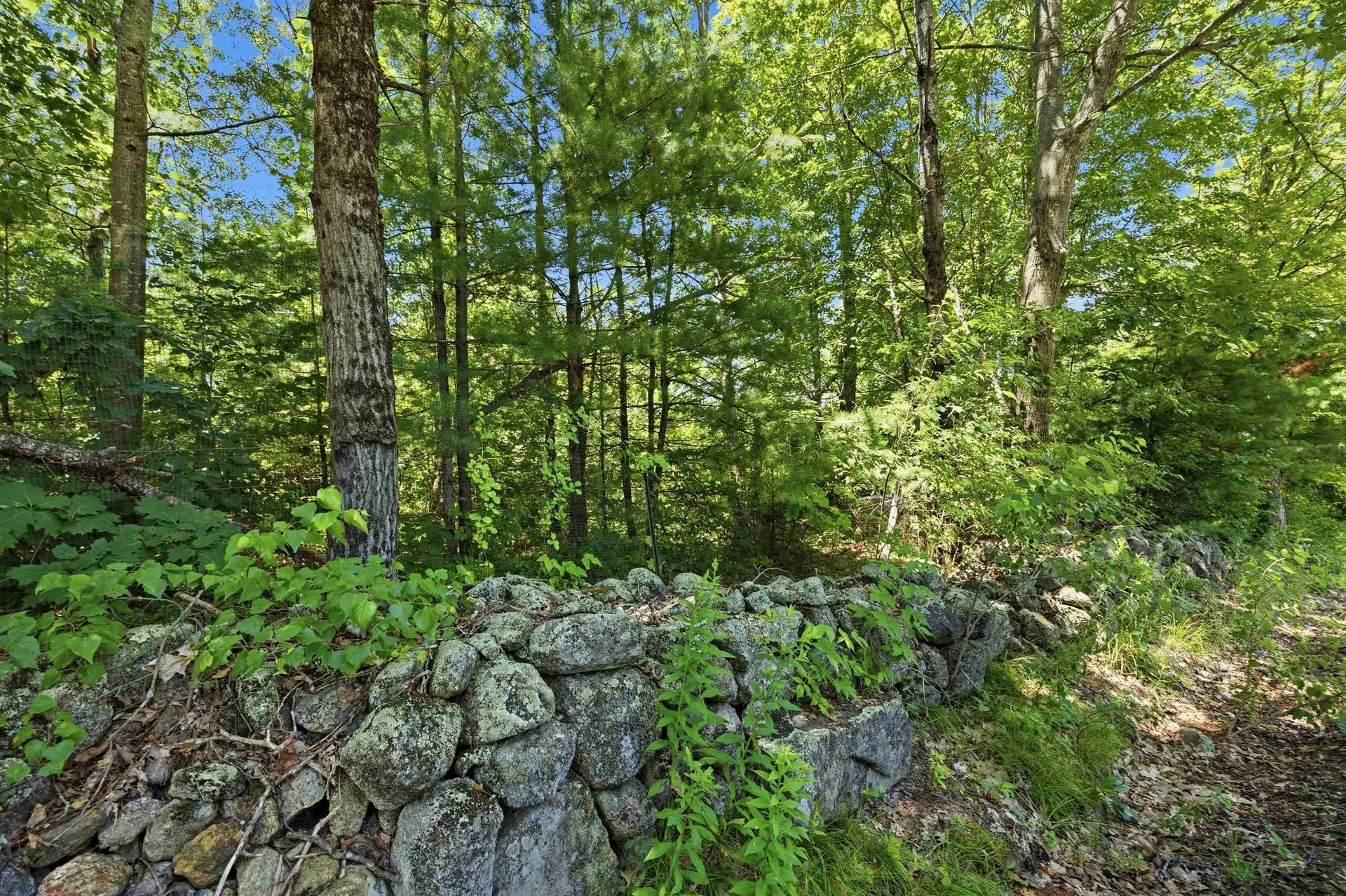 Breezy Hill Road Bradford NH 03221