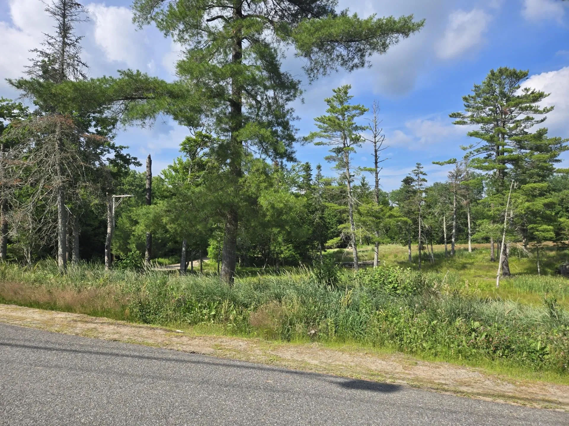 12 N. Fletcher Road Groton NH 03241
