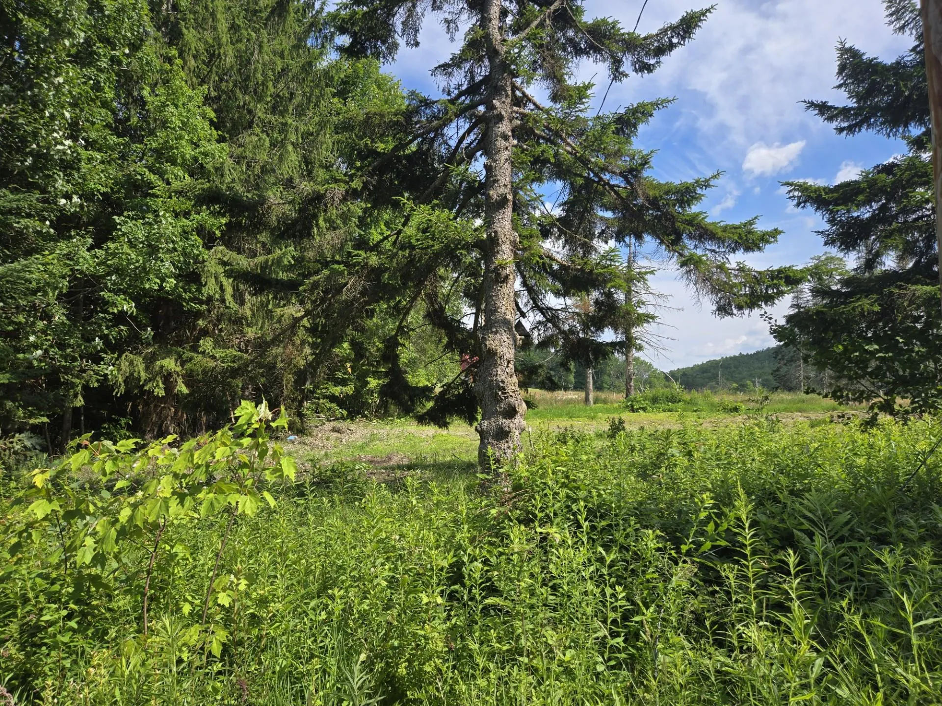 12 N. Fletcher Road Groton NH 03241