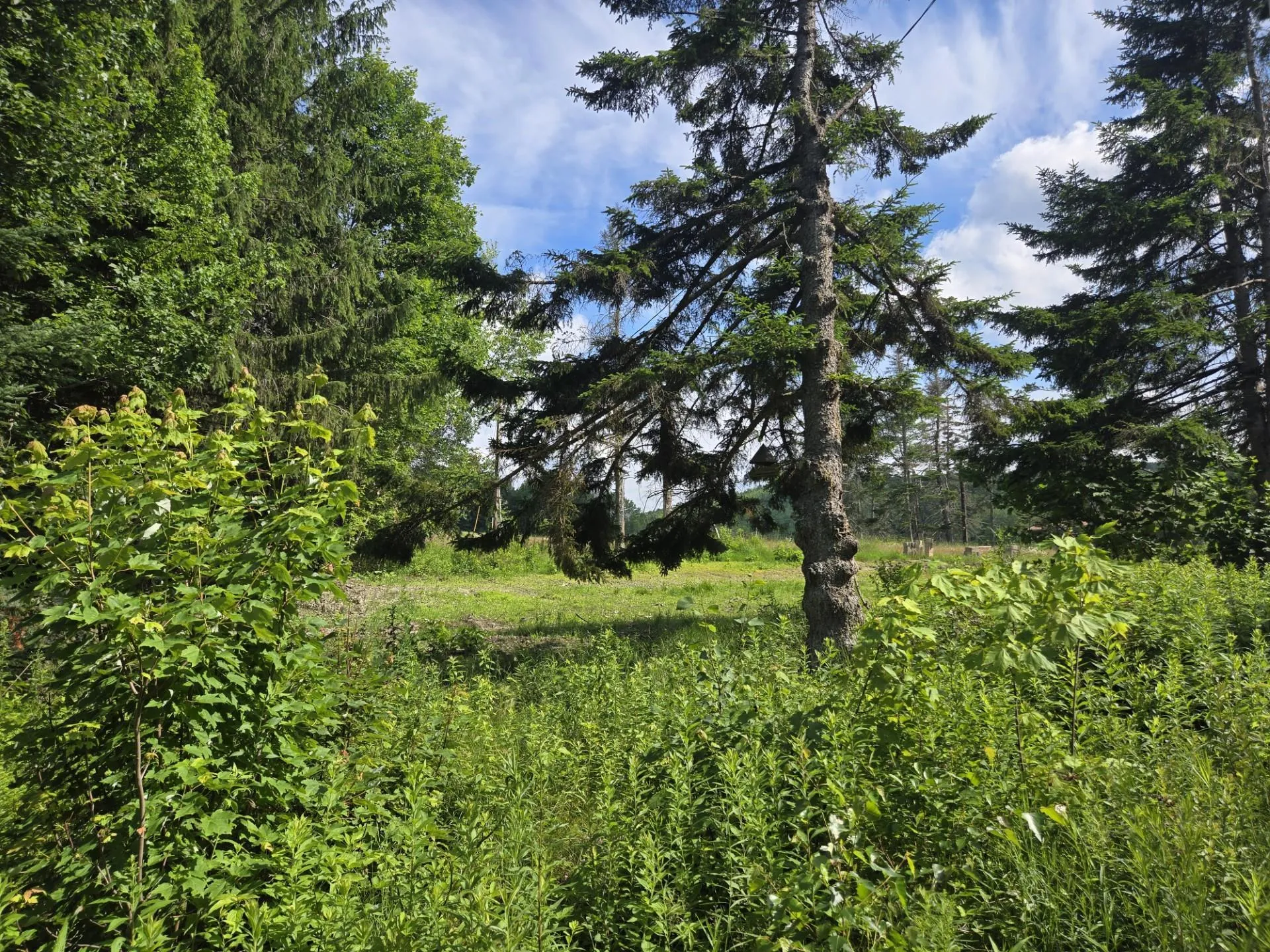 12 N. Fletcher Road Groton NH 03241