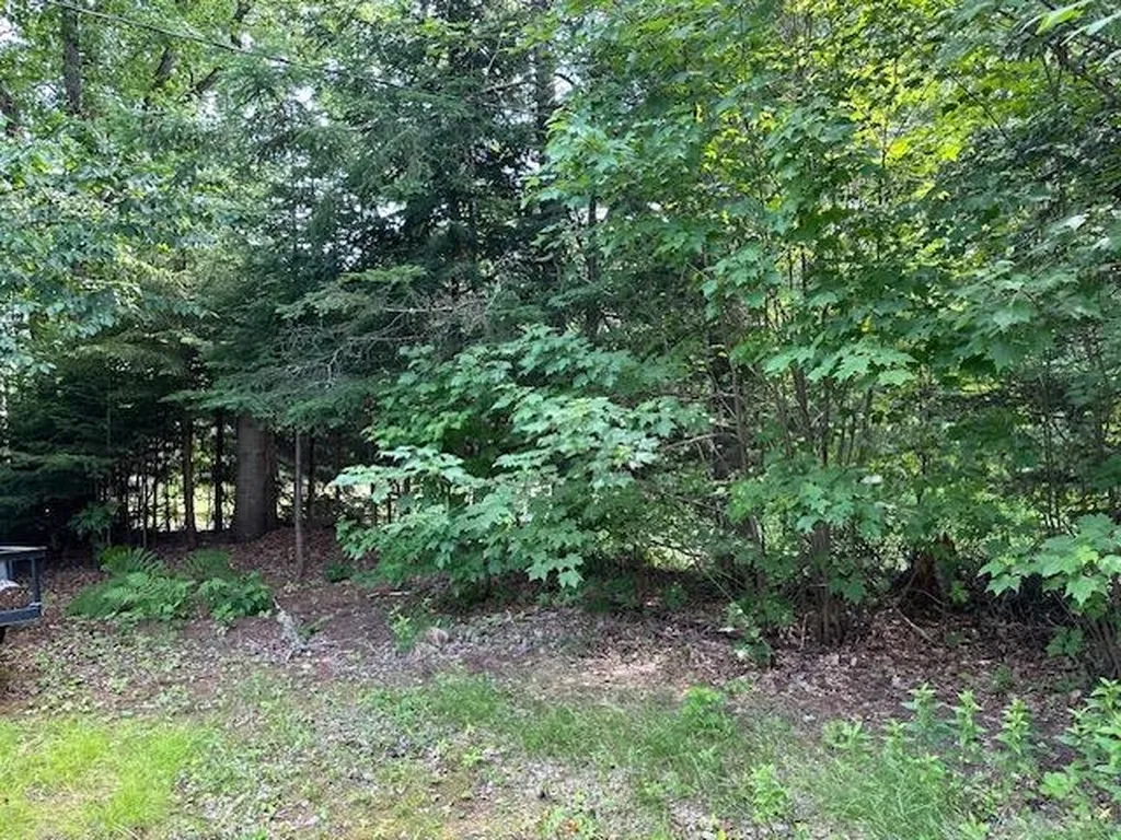 55 Hurlburt Avenue Errol NH 03579