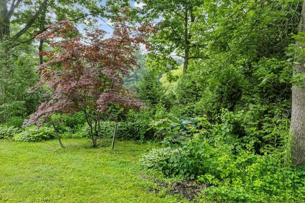 32 Tracy Lane Shelburne VT 05482