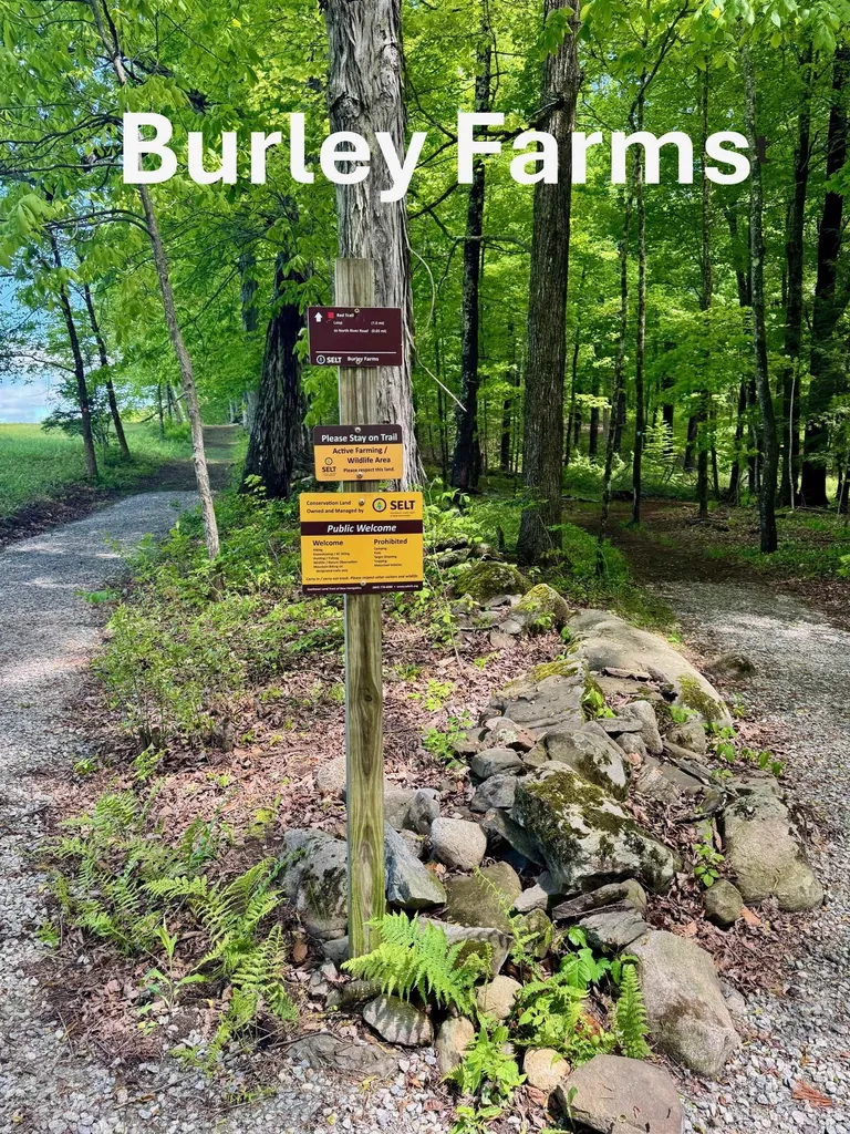 7B Violette Drive Epping NH 03042