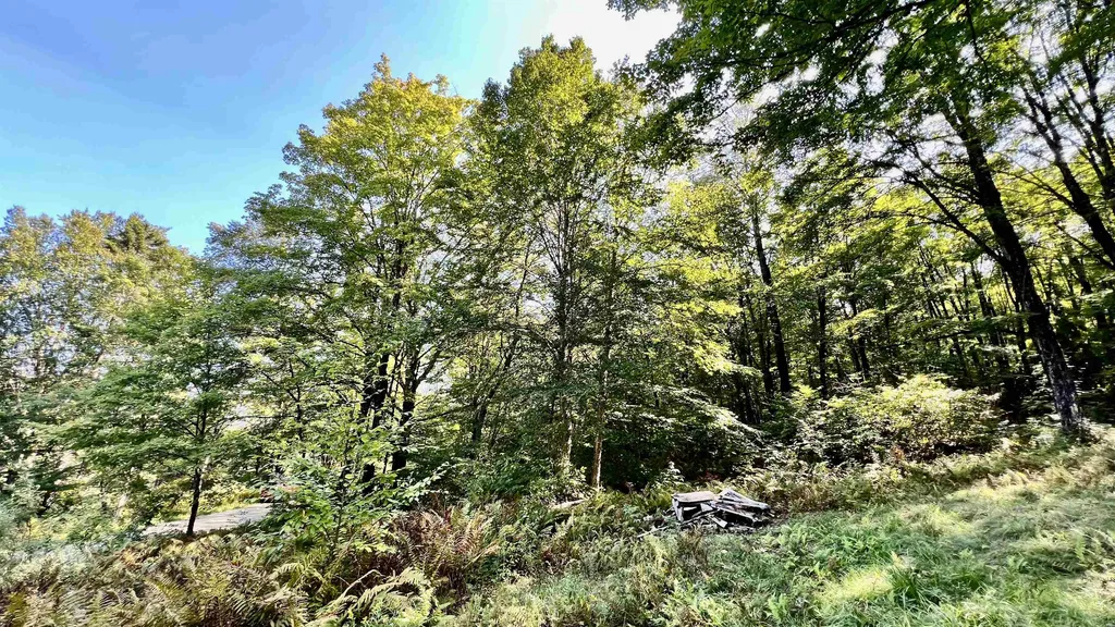 2075 Codding Hollow Road Johnson VT 05656
