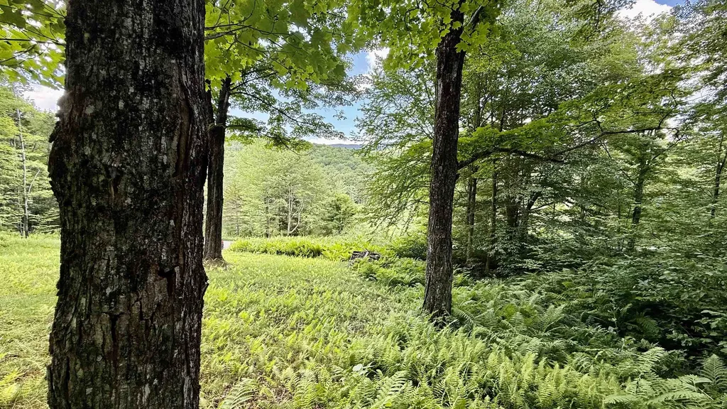 2075 Codding Hollow Road Johnson VT 05656
