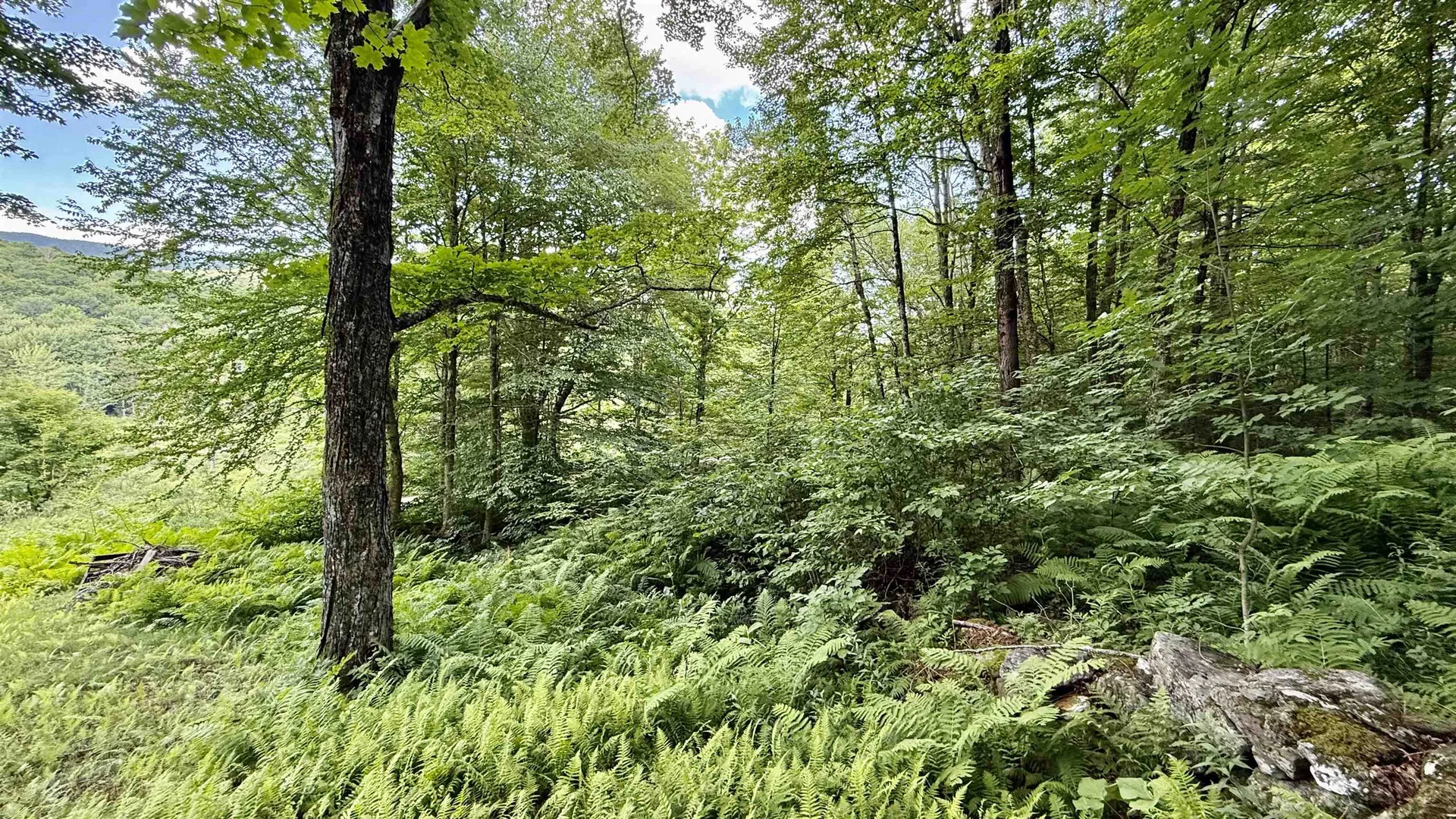 2075 Codding Hollow Road Johnson VT 05656
