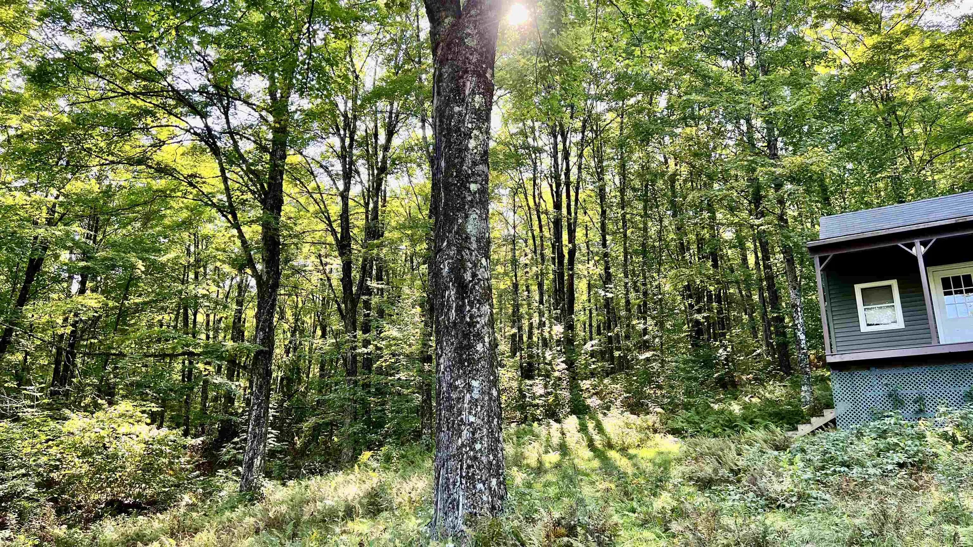 2075 Codding Hollow Road Johnson VT 05656