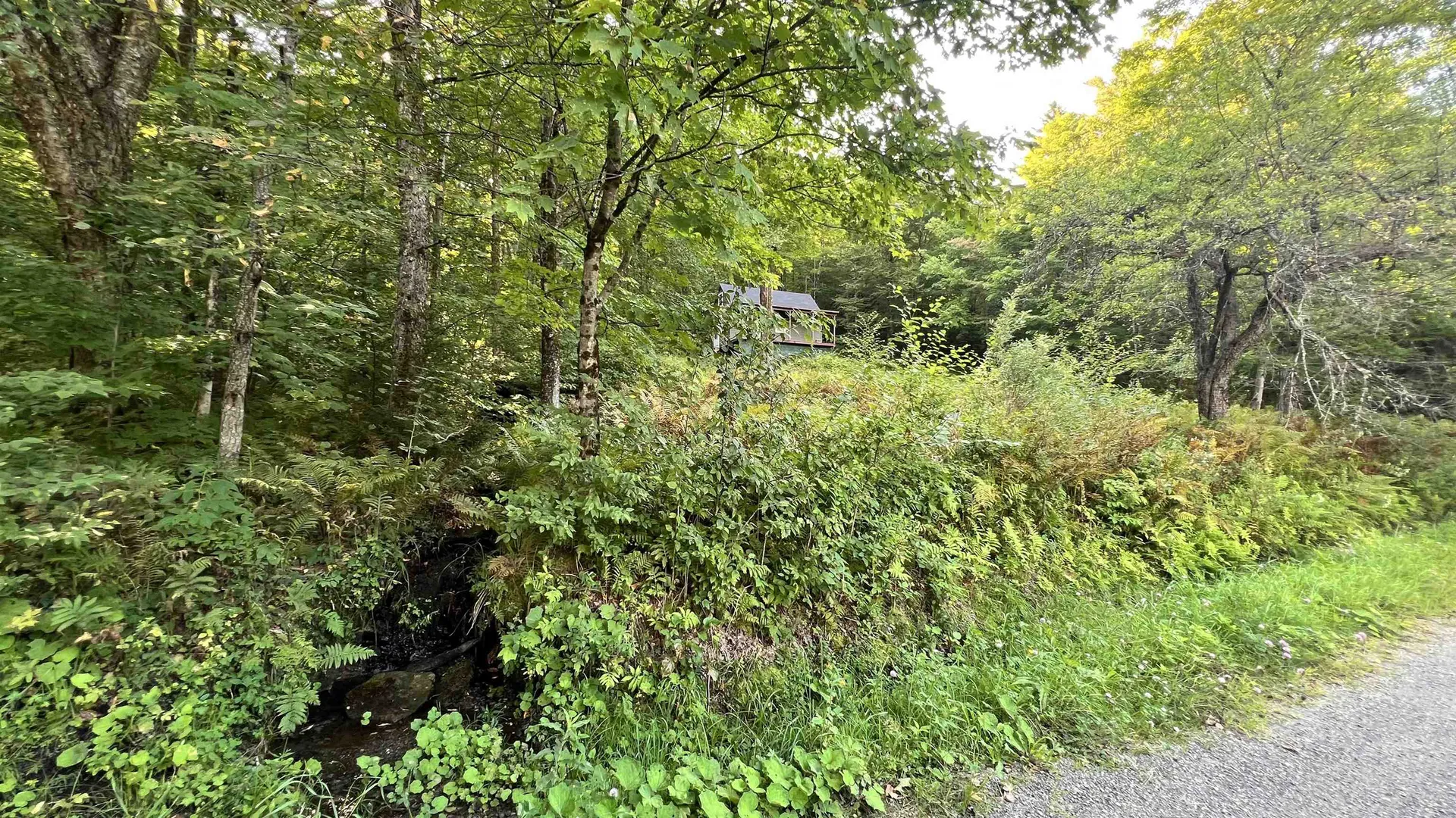 2075 Codding Hollow Road Johnson VT 05656