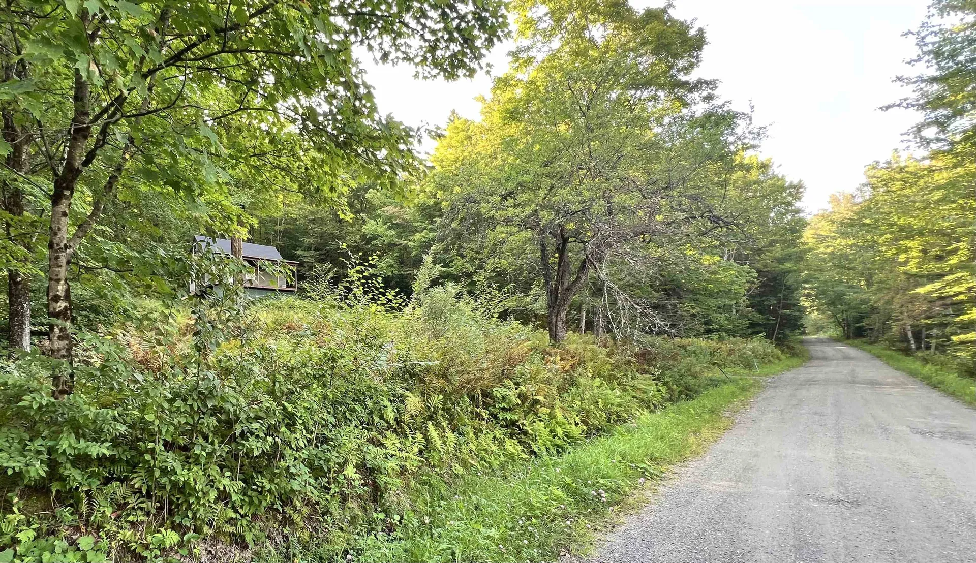 2075 Codding Hollow Road Johnson VT 05656
