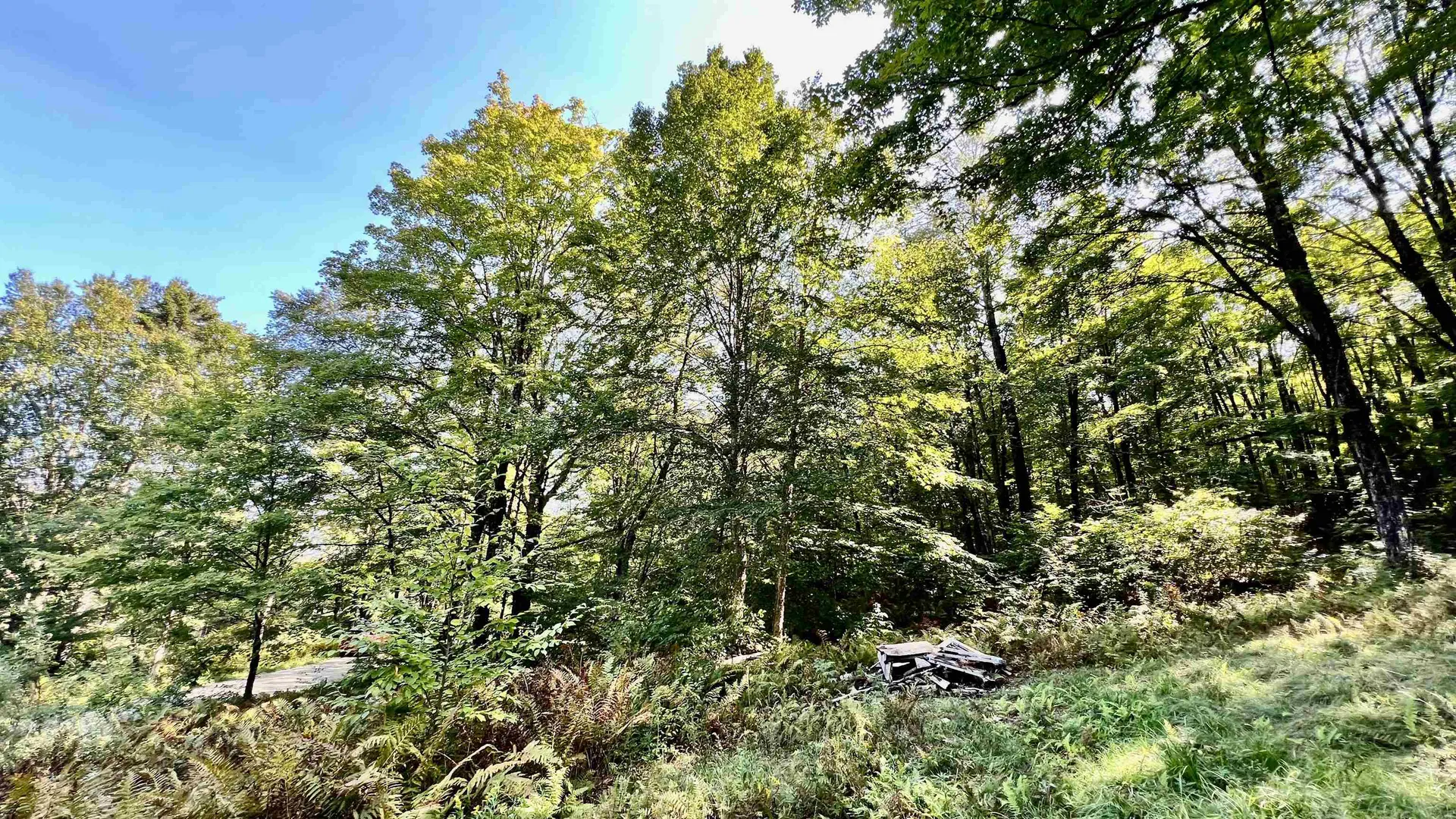2075 Codding Hollow Road Johnson VT 05656