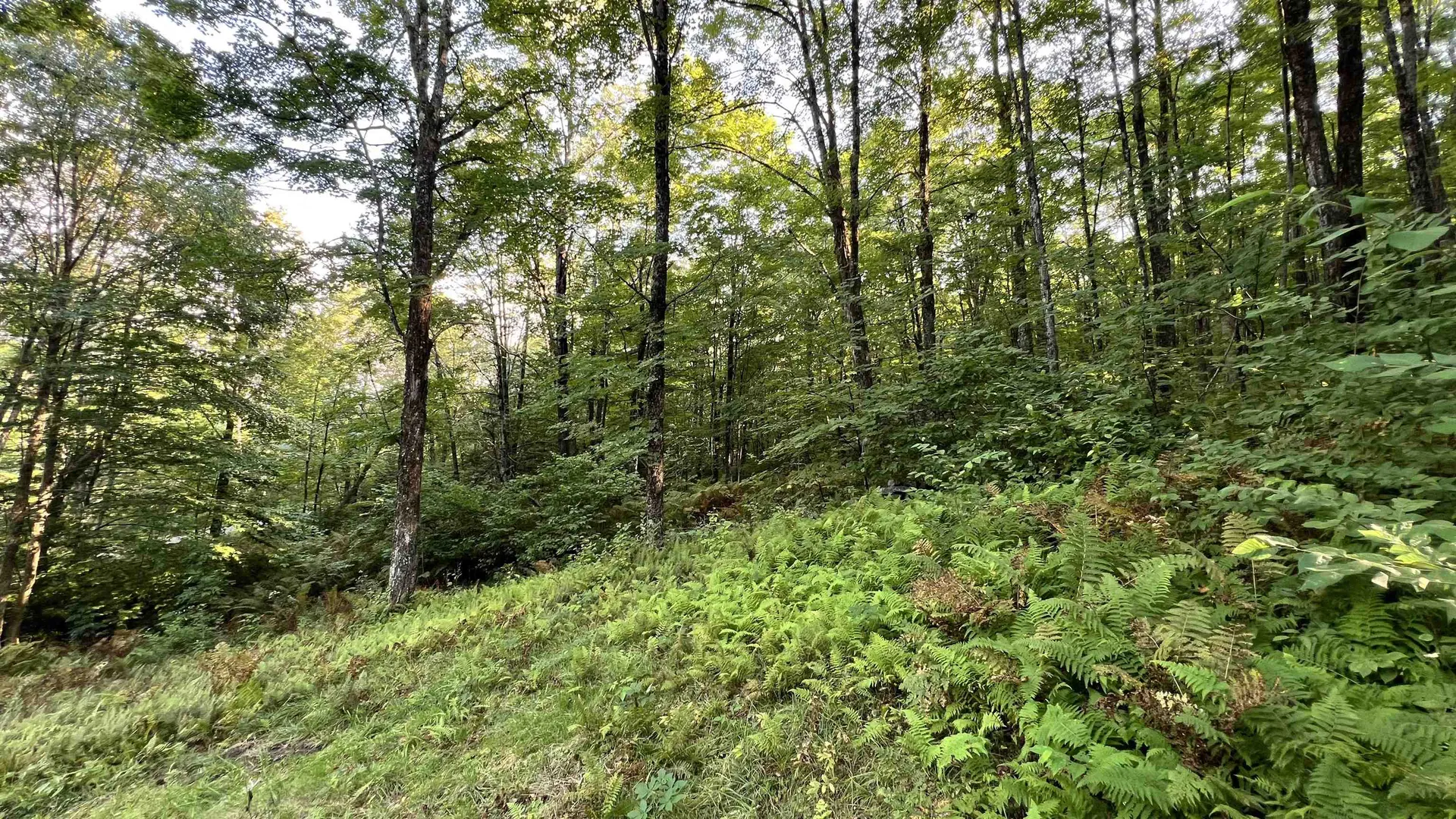 2075 Codding Hollow Road Johnson VT 05656