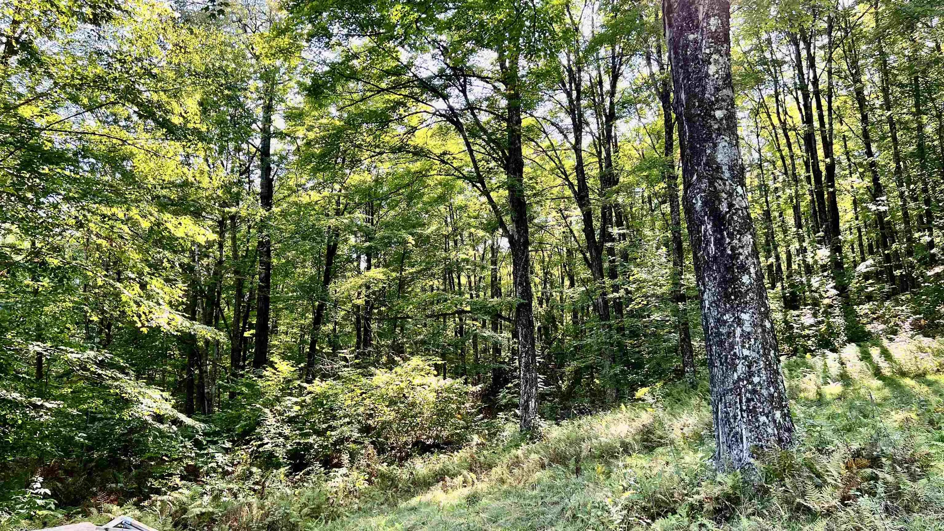 2075 Codding Hollow Road Johnson VT 05656