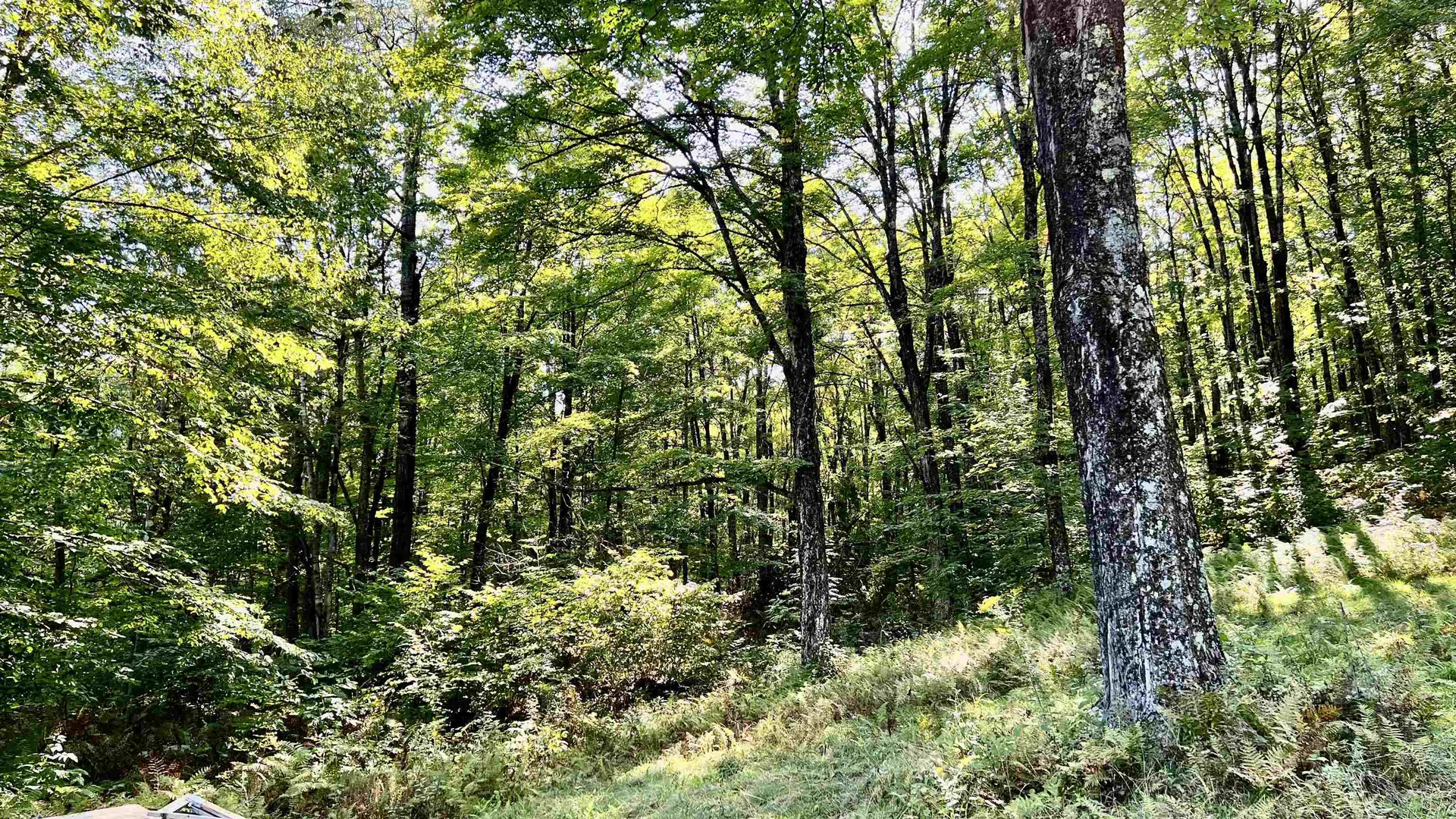 2075 Codding Hollow Road Johnson VT 05656