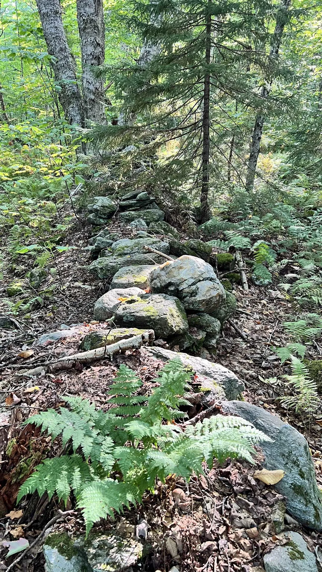 2075 Codding Hollow Road Johnson VT 05656