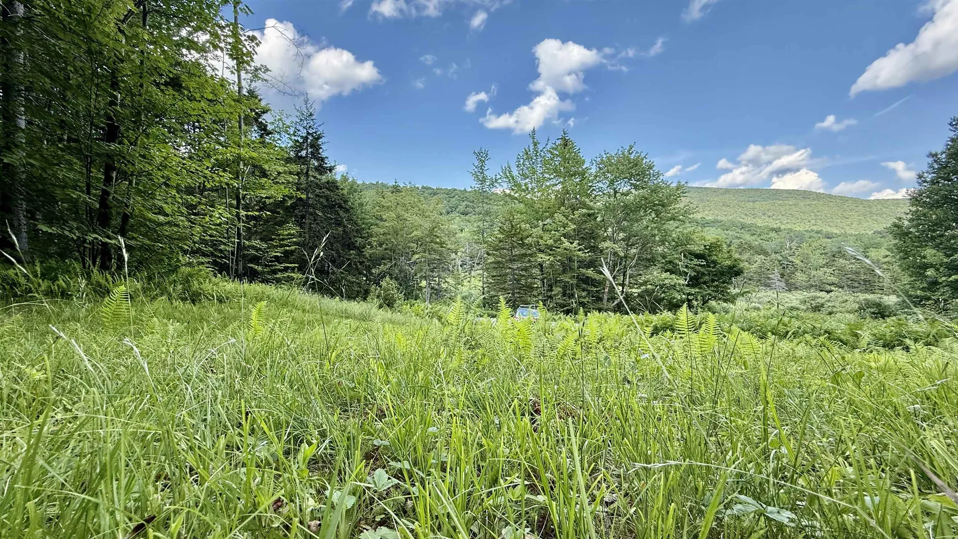 2075 Codding Hollow Road Johnson VT 05656